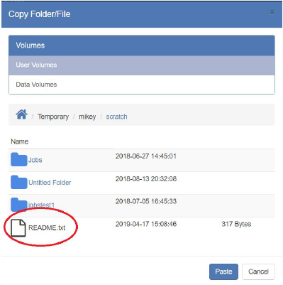 The Copy Folder/File dialog box, with your file selected